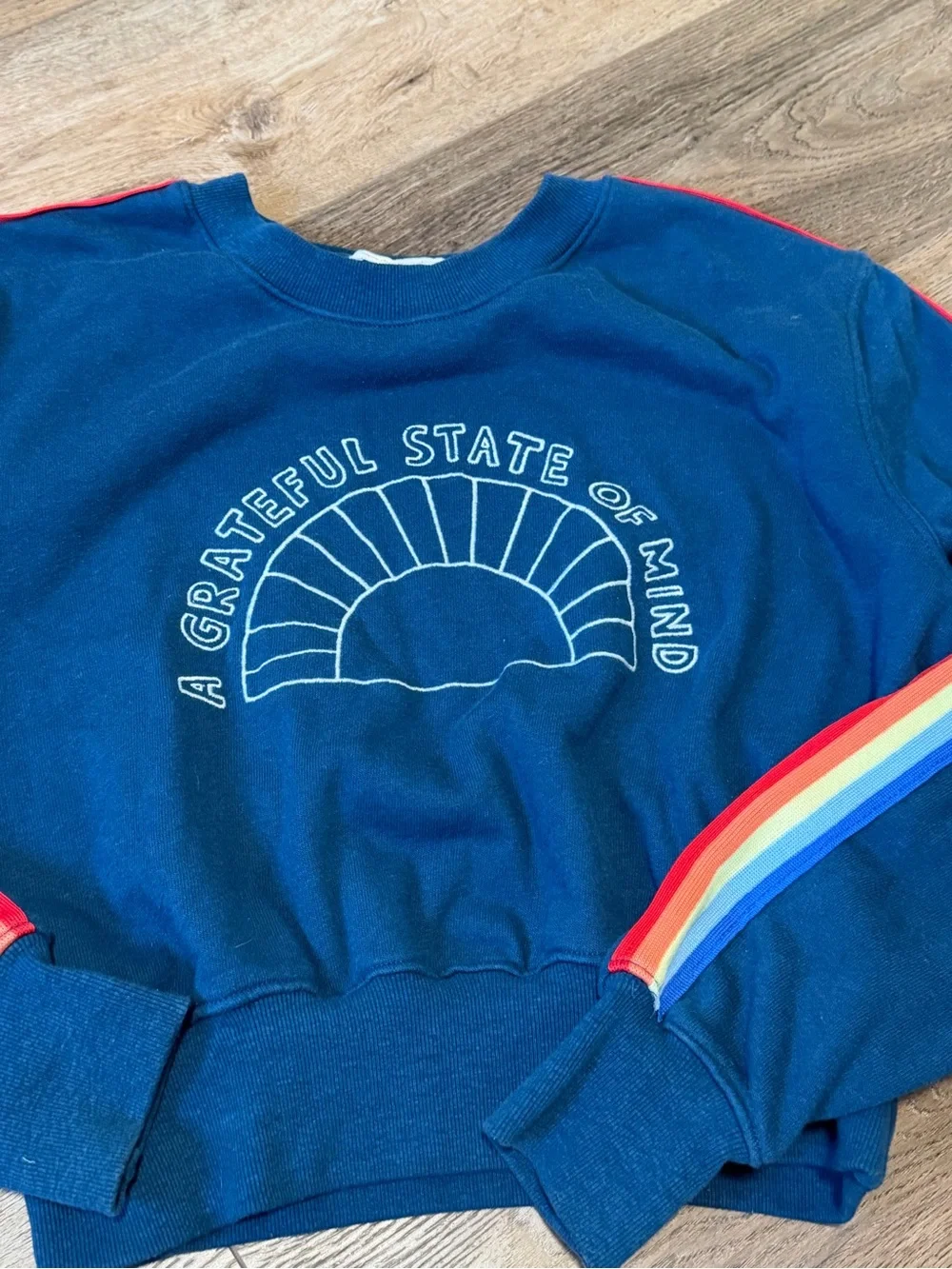 Spiritual Gangster Navy Crewneck Sweatshirt with Rainbow Stripe Detail - Picture 4 of 6